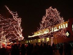 115 Toledo Zoo Light Show [2008 Dec 27]